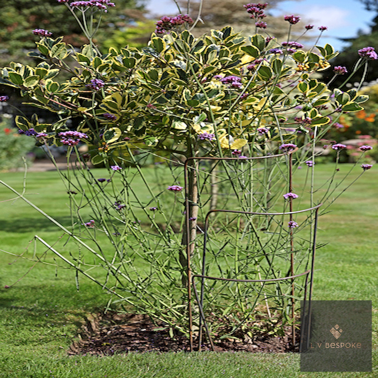Plant Supports in garden with purple flowers and planting.