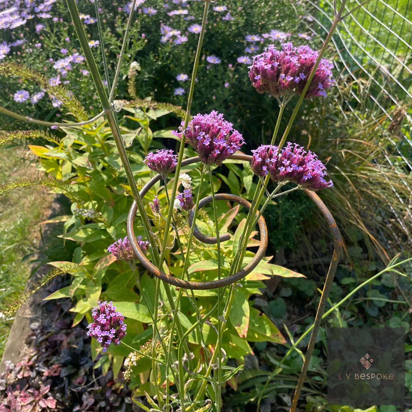 Pigtail plant support from above