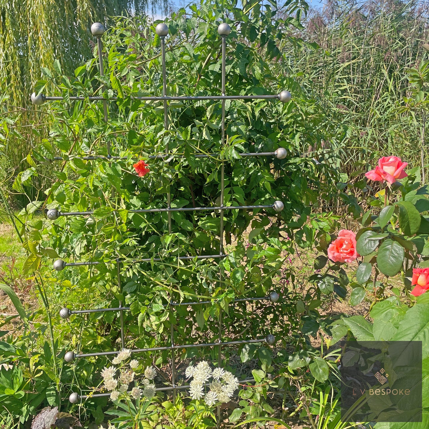 Metal garden trellis with climbing plants and flowers in a garden setting