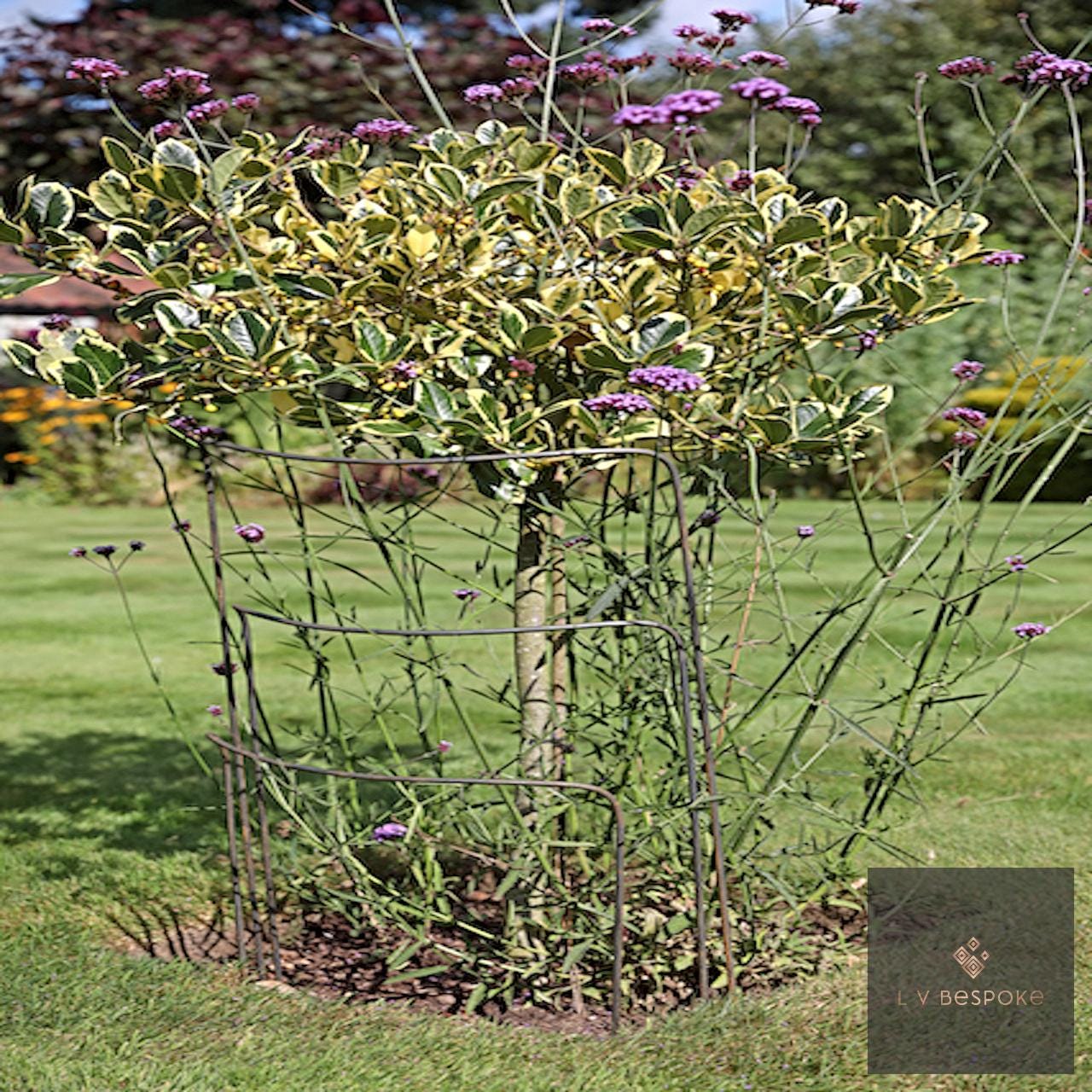Set of 6 - 500mm wide metal plant supports, mixed heights. Durable and discrete.