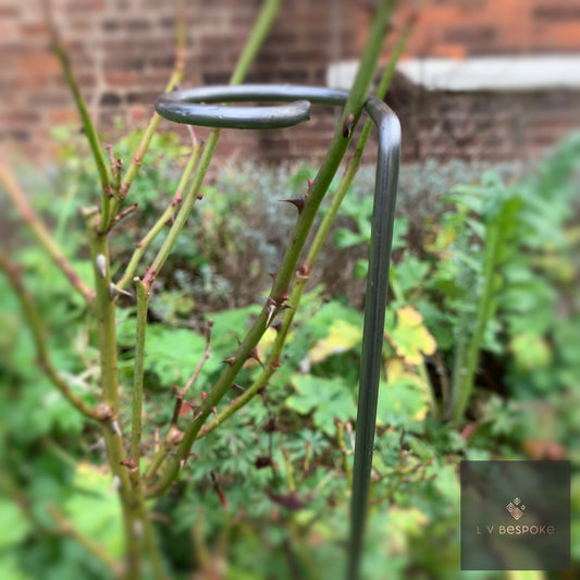 Single Stem Plant Support