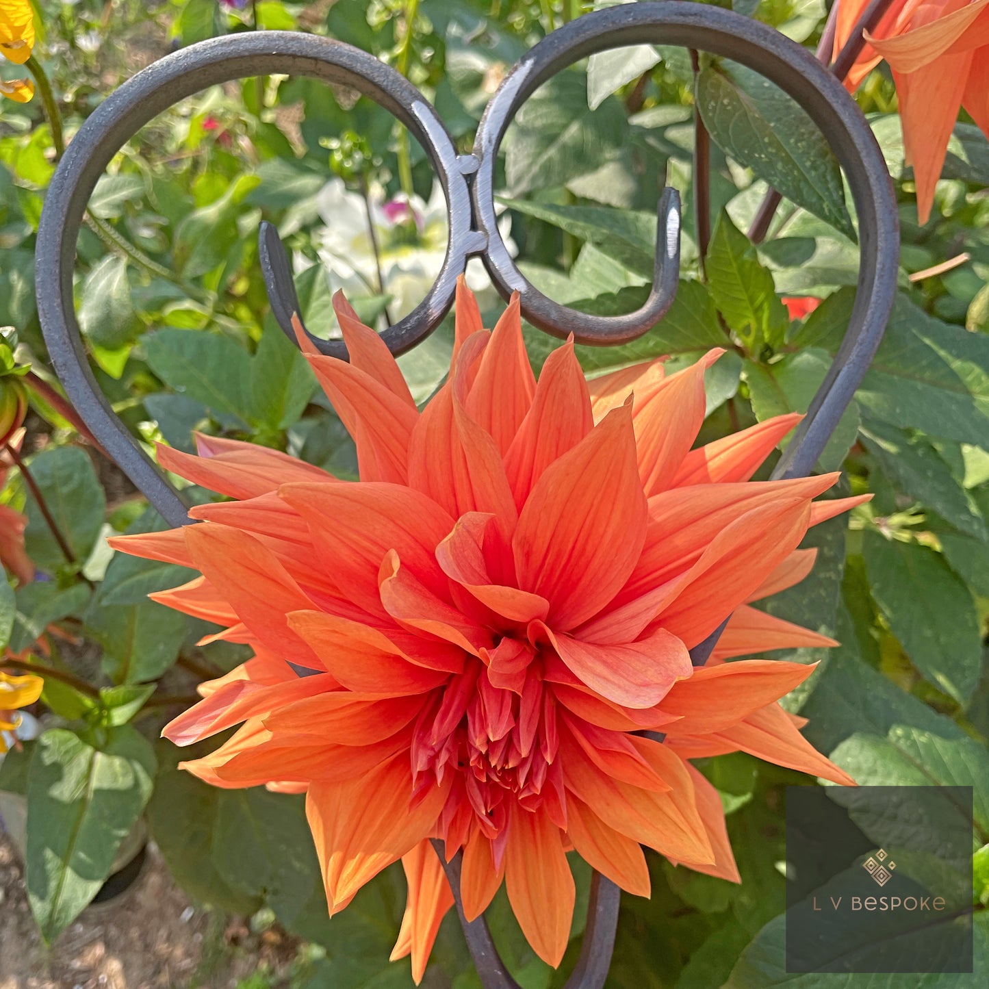 Heart Shaped Plant Support & Garden Feature