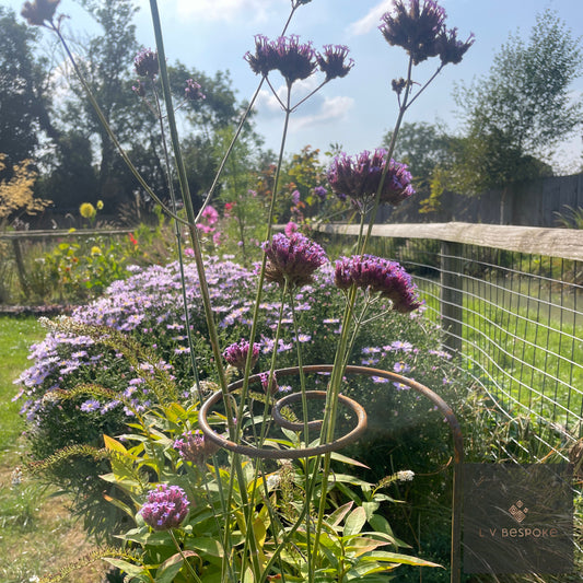 Pig Tail Plant Support