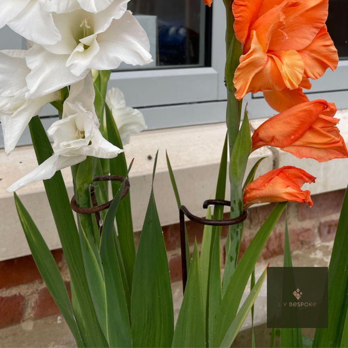 Single Stem Plant Support