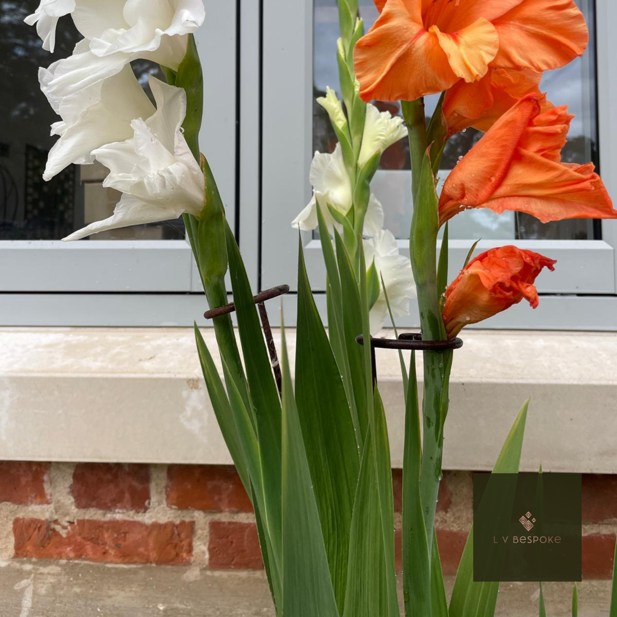 Single Stem Plant Support