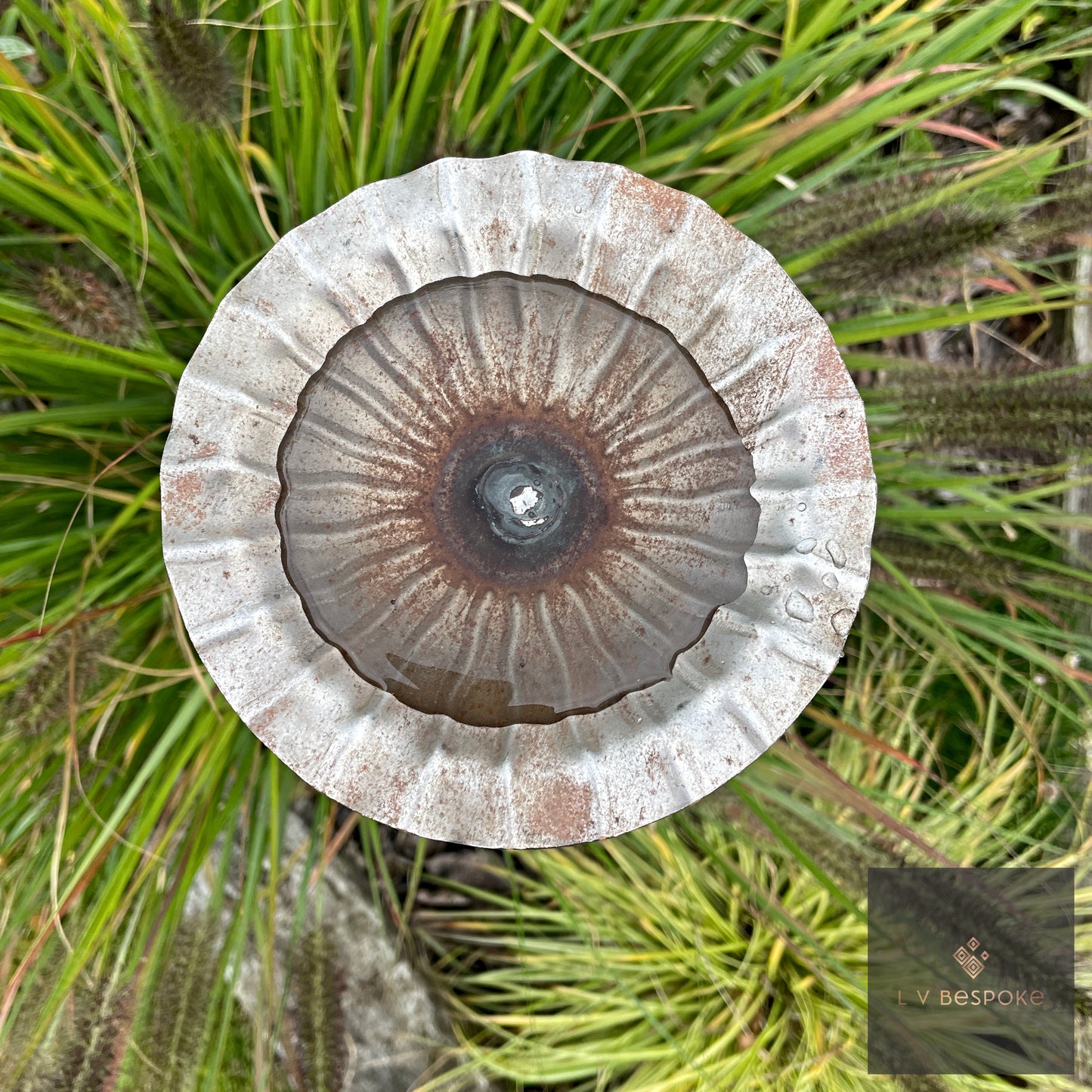 VIBee Bee Drinker | Multiple Designs to Choose From