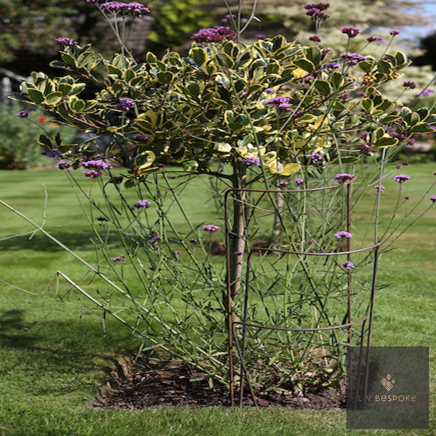 Wide Curved Steel Plant Support | Various Heights