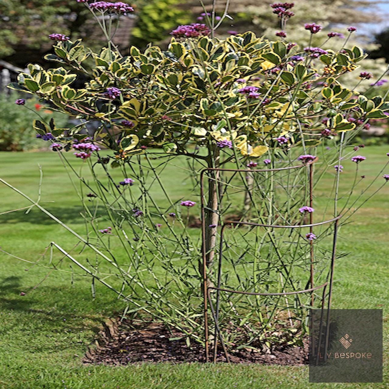 Set of 6 - 400mm wide metal plant supports, mixed heights. Durable and discrete.