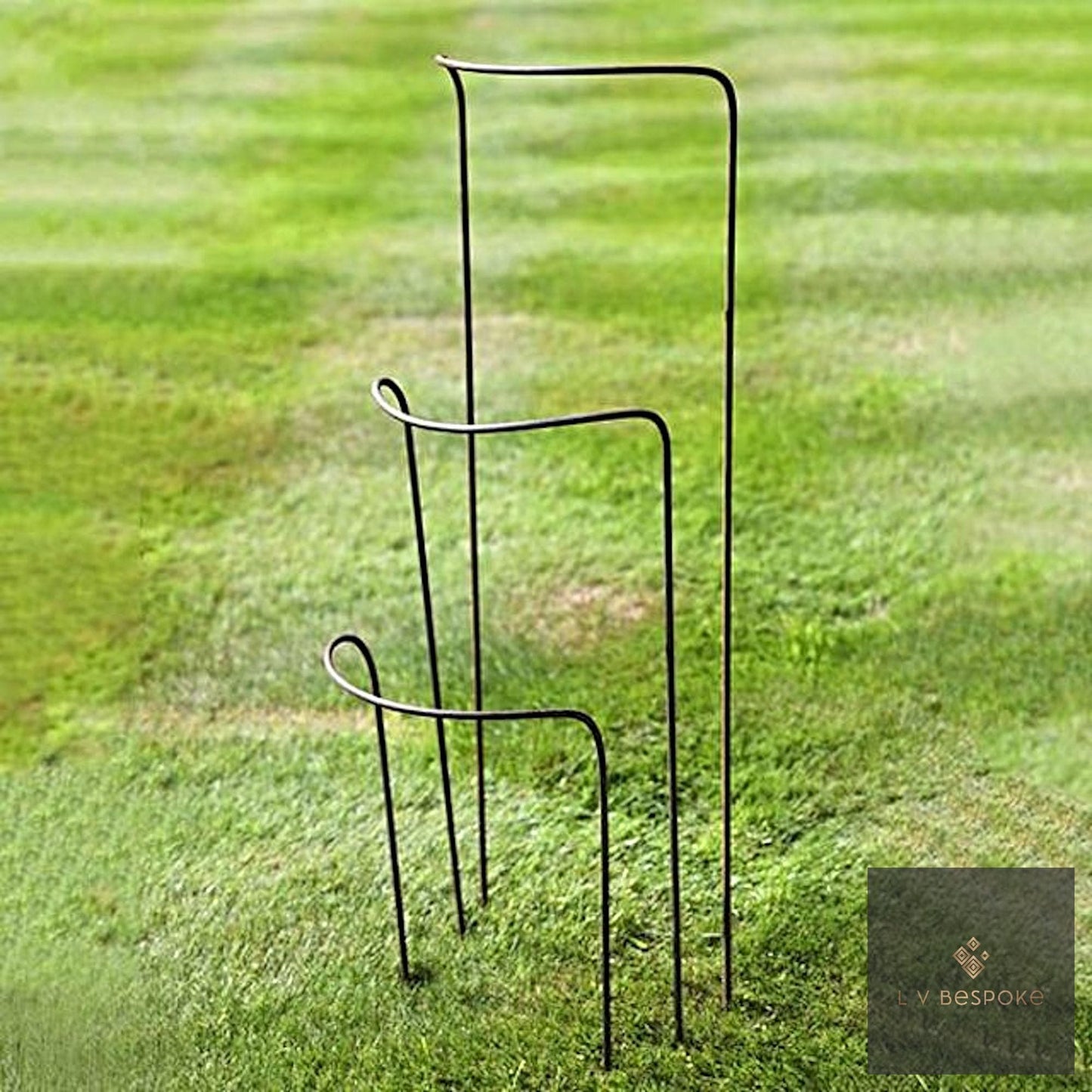 Set of 6 - 300mm wide metal plant supports, mixed heights. Durable and discrete !