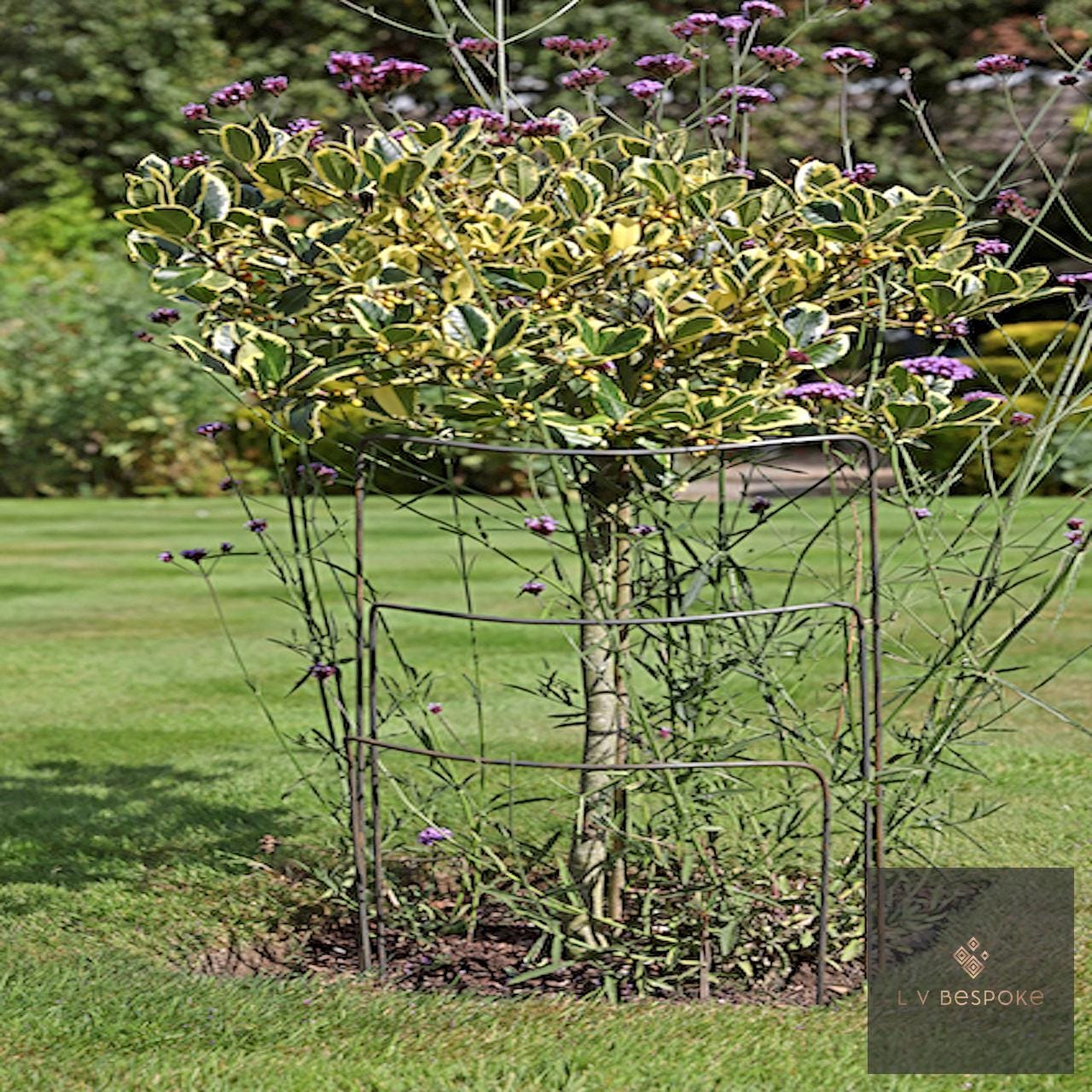 Set of 6 - 500mm wide metal plant supports, mixed heights. Durable and discrete.
